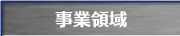 事業領域